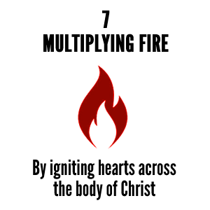 MULTIPLY FIRE2